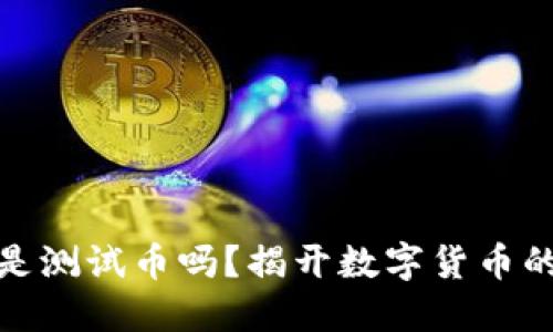 小狐钱包是测试币吗？揭开数字货币的神秘面纱