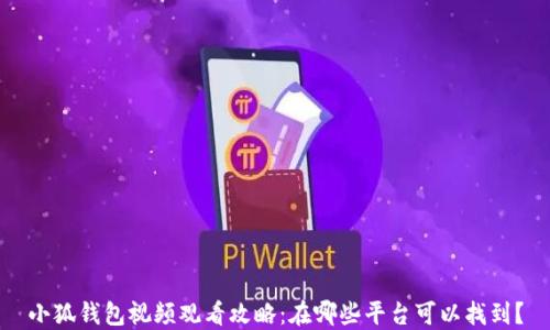 
小狐钱包视频观看攻略：在哪些平台可以找到？