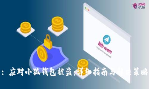 : 应对小狐钱包被盗：详细指南与解决策略