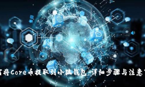 如何将Core币提取到小狐钱包：详细步骤与注意事项