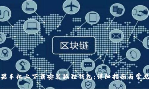 如何在苹果手机上下载安装狐狸钱包：详细指南与常见问题解答