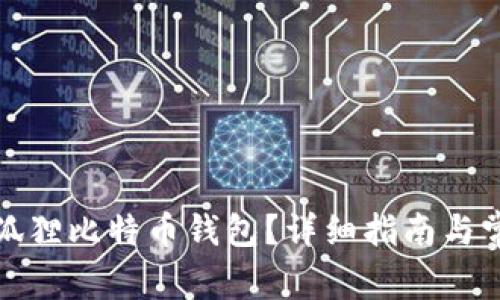 如何查看小狐狸比特币钱包？详细指南与常见问题解答