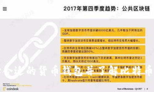 如何选择合适的货币钱包并了解比特币充值数量