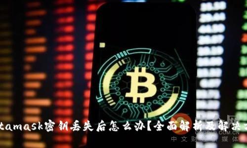 Metamask密钥丢失后怎么办？全面解析及解决方案